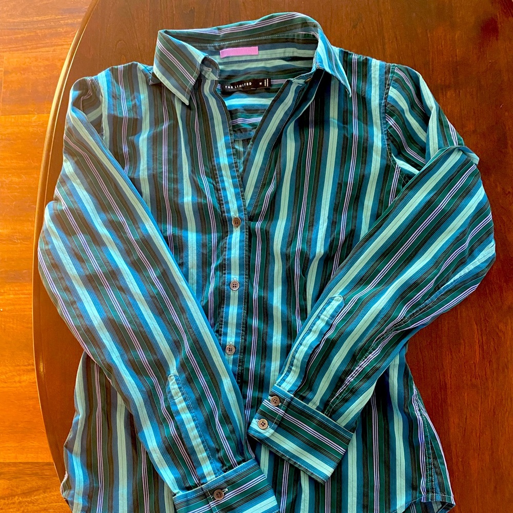 The Limited Women’s Teal and Light Green Button Down Dress Shirt